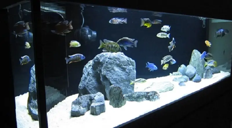 Aquarium Sand White Gravel Fish Tank Substrate for Malawi Cichlid
